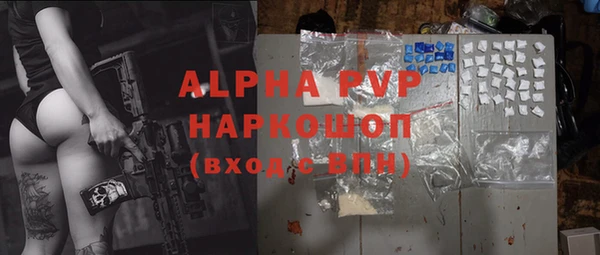 гидра Липки