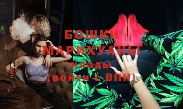 гидра Липки