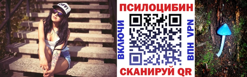 Купить закладки  Чебаркуль  Галлюциногенные грибы Magic Shrooms 